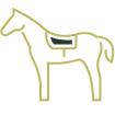 Horse breeds