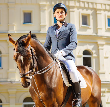 Practice your passion for horse riding